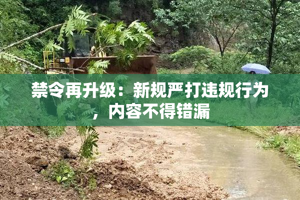 禁令再升级：新规严打违规行为，内容不得错漏
