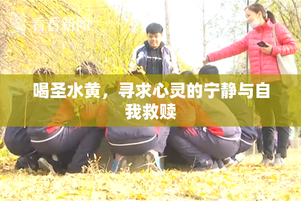 喝圣水黄，寻求心灵的宁静与自我救赎