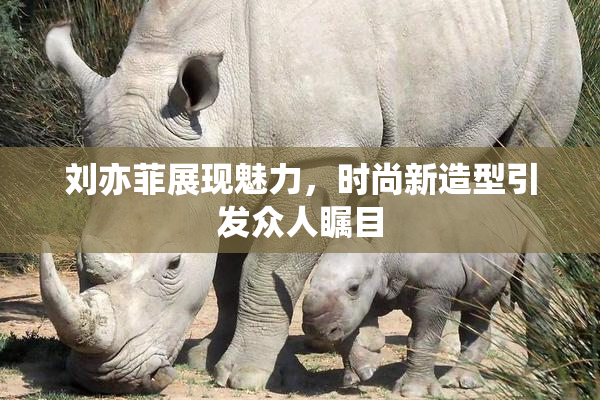 刘亦菲展现魅力，时尚新造型引发众人瞩目