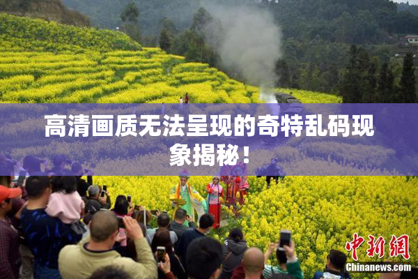 高清画质无法呈现的奇特乱码现象揭秘！