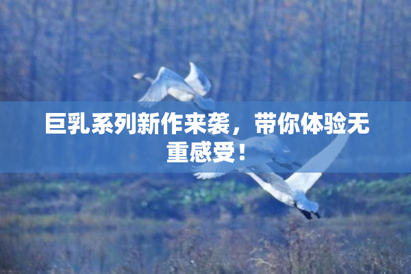 巨乳系列新作来袭，带你体验无重感受！