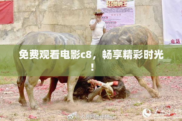 免费观看电影c8，畅享精彩时光！