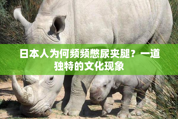 日本人为何频频憋尿夹腿？一道独特的文化现象