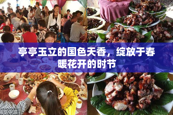 亭亭玉立的国色天香，绽放于春暖花开的时节