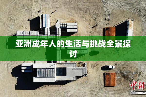 亚洲成年人的生活与挑战全景探讨