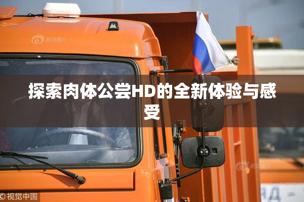 探索肉体公尝HD的全新体验与感受