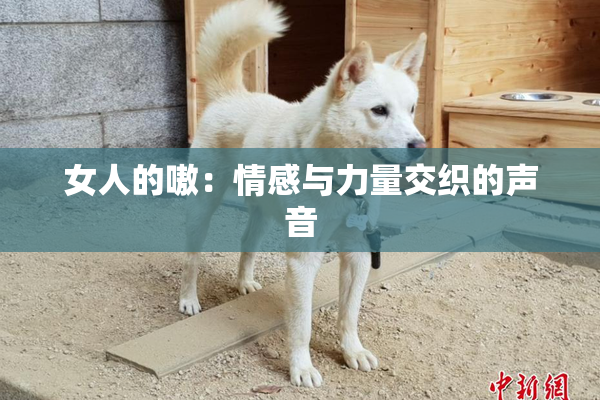 女人的嗷：情感与力量交织的声音