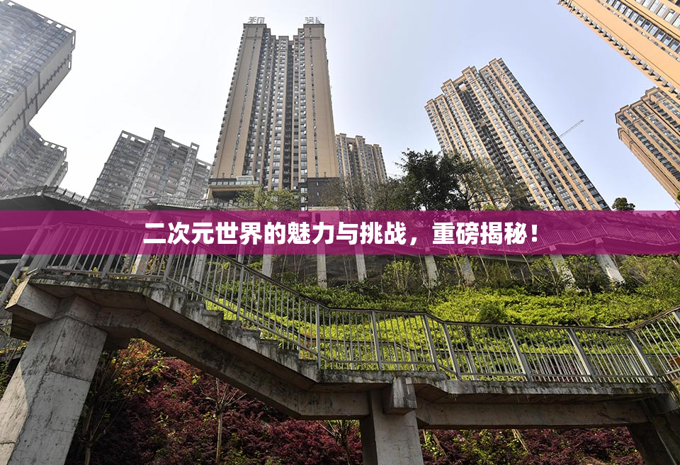 二次元世界的魅力与挑战，重磅揭秘！
