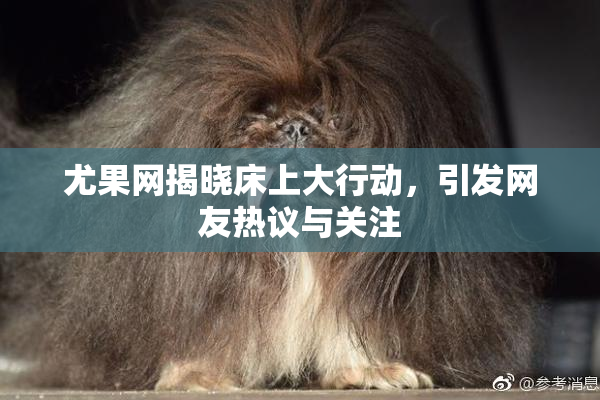 尤果网揭晓床上大行动，引发网友热议与关注