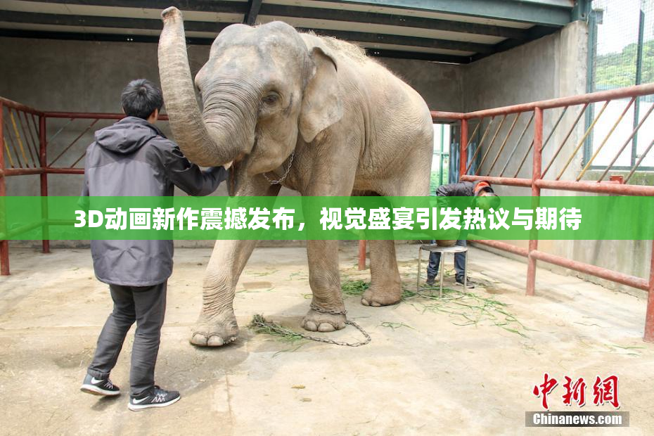 3D动画新作震撼发布，视觉盛宴引发热议与期待