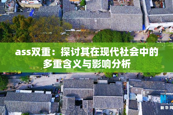 ass双重：探讨其在现代社会中的多重含义与影响分析