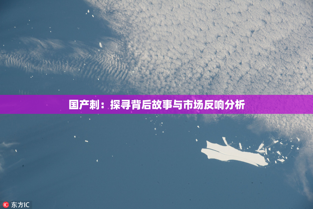 国产刺：探寻背后故事与市场反响分析