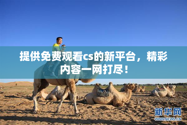 提供免费观看cs的新平台，精彩内容一网打尽！