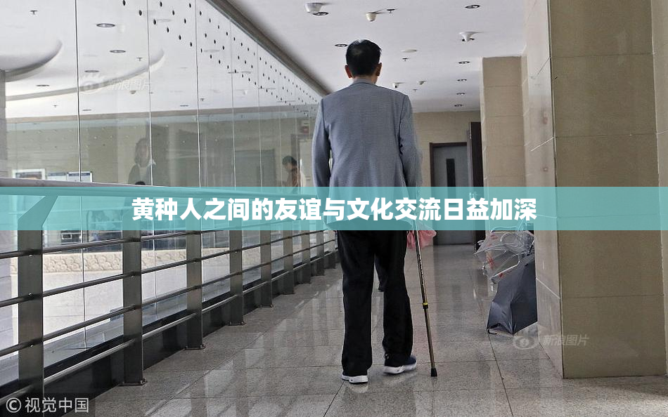 黄种人之间的友谊与文化交流日益加深