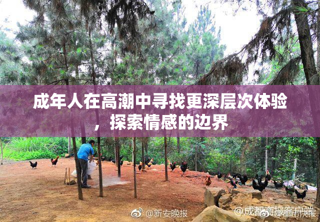 成年人在高潮中寻找更深层次体验，探索情感的边界