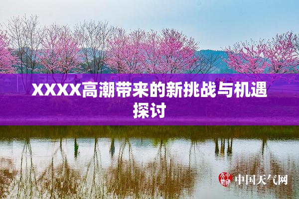 XXXX高潮带来的新挑战与机遇探讨