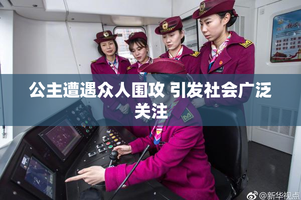 公主遭遇众人围攻 引发社会广泛关注