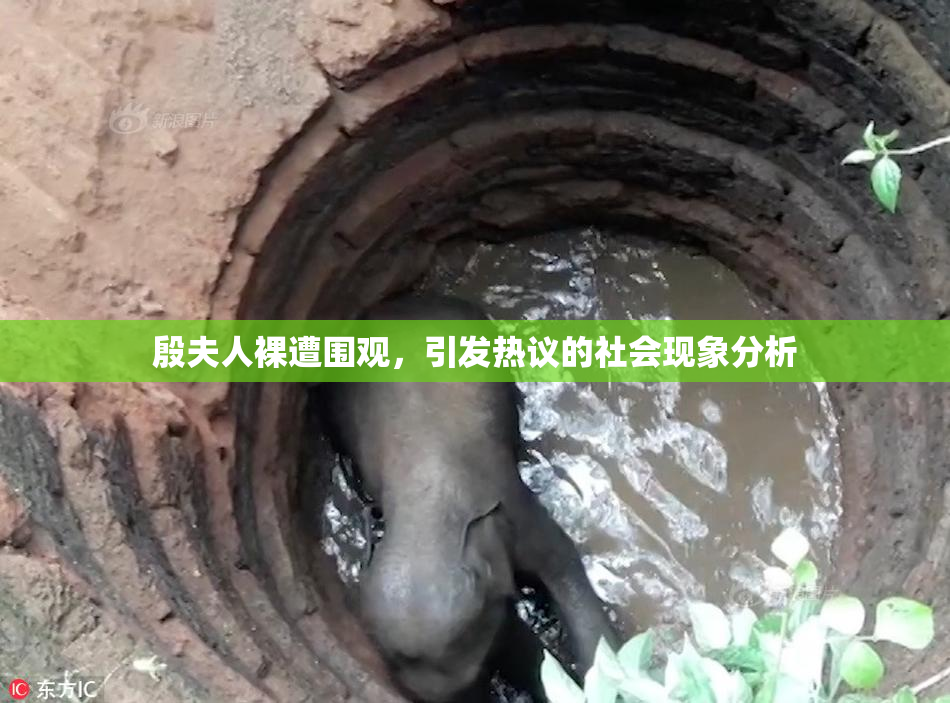 殷夫人裸遭围观，引发热议的社会现象分析