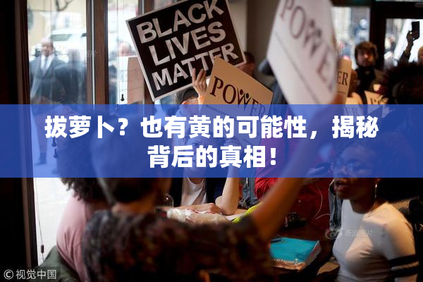 拔萝卜？也有黄的可能性，揭秘背后的真相！