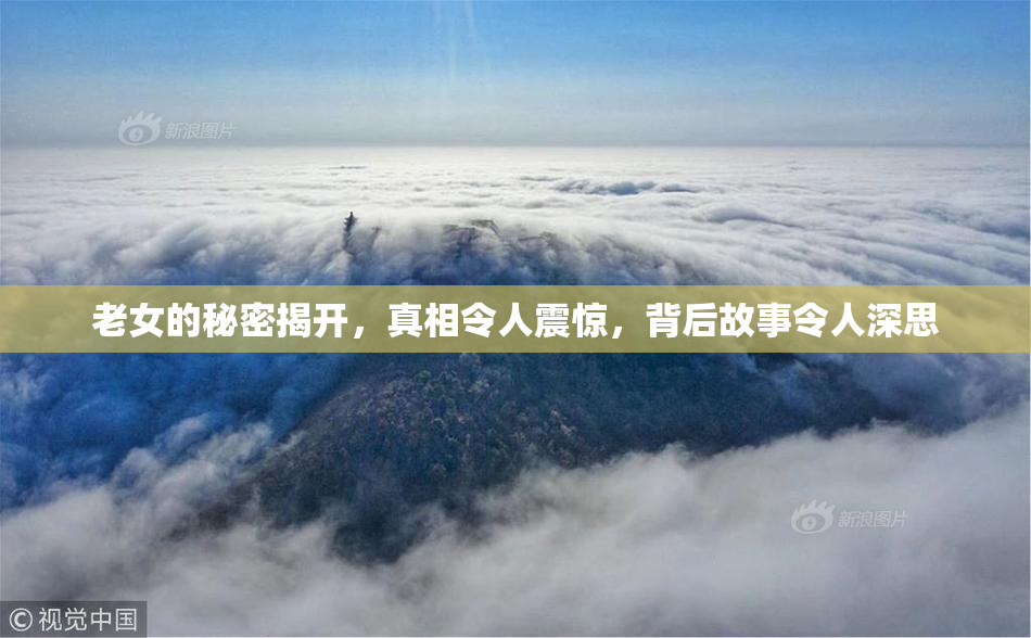 老女的秘密揭开，真相令人震惊，背后故事令人深思