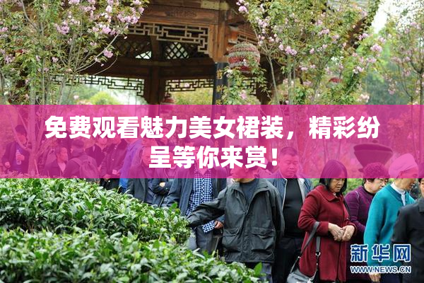 免费观看魅力美女裙装，精彩纷呈等你来赏！