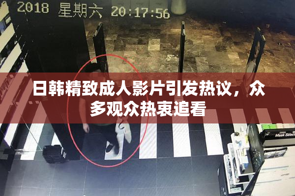 日韩精致成人影片引发热议，众多观众热衷追看