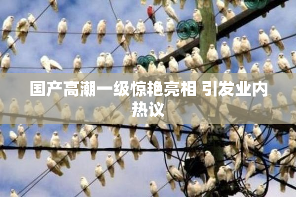 国产高潮一级惊艳亮相 引发业内热议