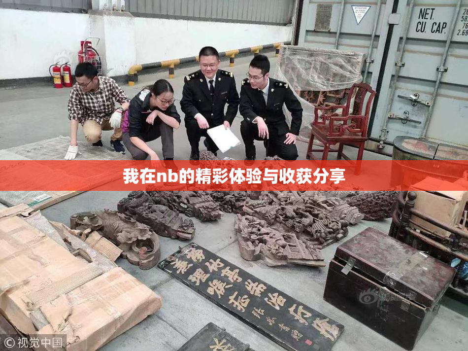 我在nb的精彩体验与收获分享
