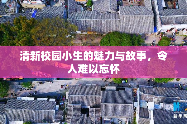 清新校园小生的魅力与故事，令人难以忘怀