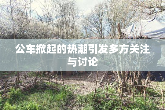 公车掀起的热潮引发多方关注与讨论