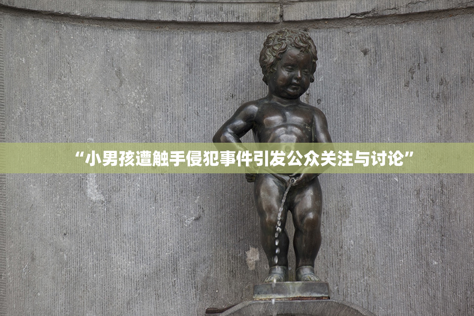 “小男孩遭触手侵犯事件引发公众关注与讨论”