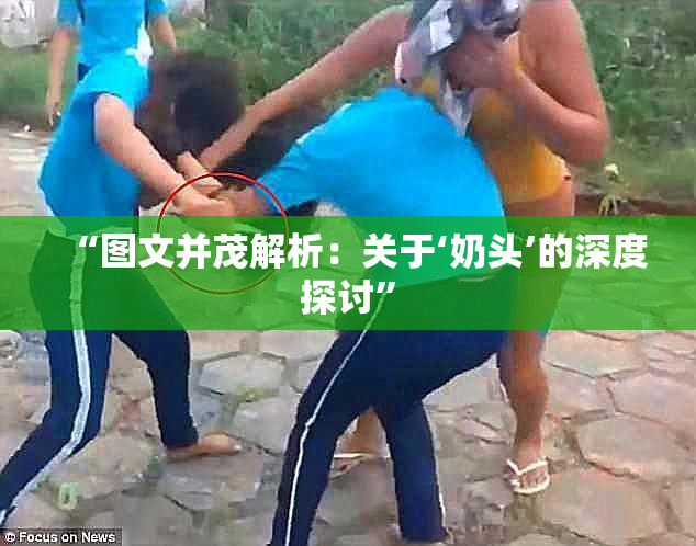 “图文并茂解析：关于‘奶头’的深度探讨”