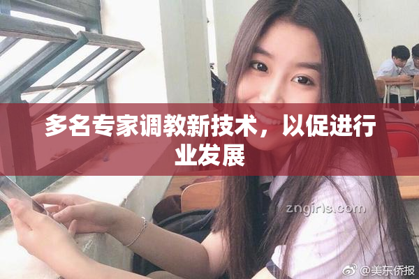 多名专家调教新技术，以促进行业发展