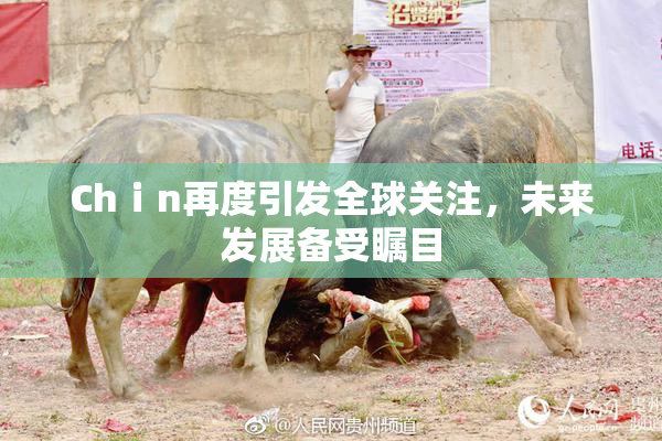 Chⅰn再度引发全球关注，未来发展备受瞩目