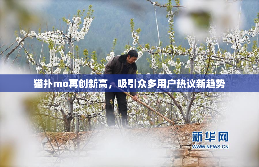 猫扑mo再创新高，吸引众多用户热议新趋势