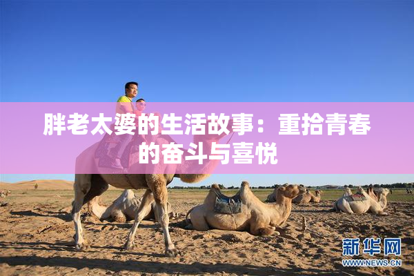 胖老太婆的生活故事：重拾青春的奋斗与喜悦