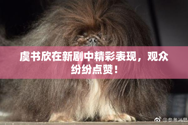 虞书欣在新剧中精彩表现，观众纷纷点赞！