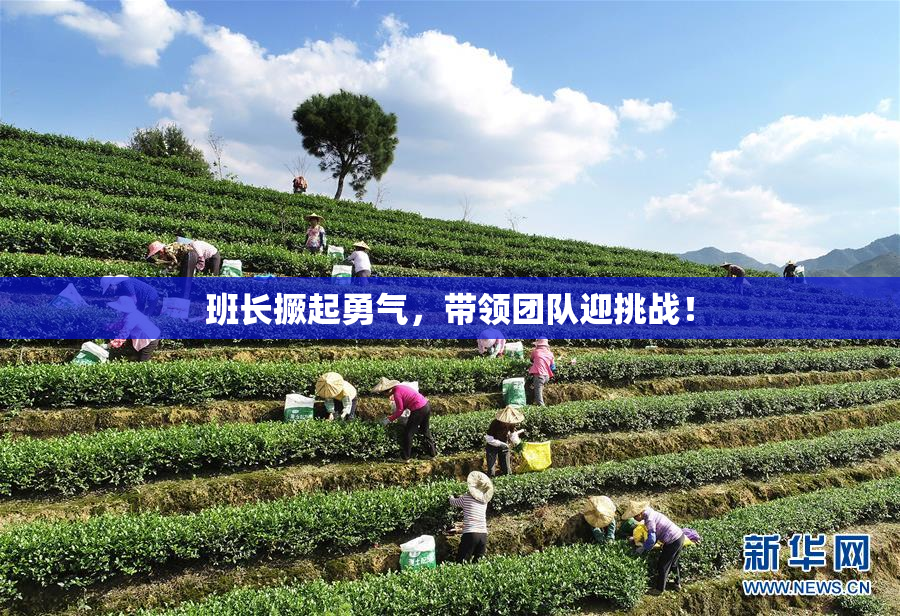 班长撅起勇气，带领团队迎挑战！