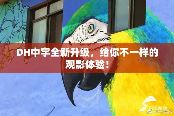 DH中字全新升级，给你不一样的观影体验！