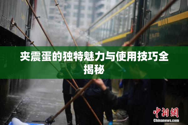 夹震蛋的独特魅力与使用技巧全揭秘