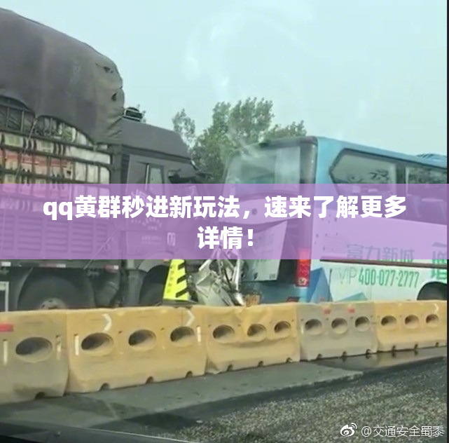 qq黄群秒进新玩法，速来了解更多详情！