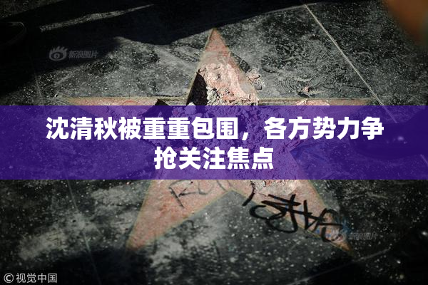 沈清秋被重重包围，各方势力争抢关注焦点