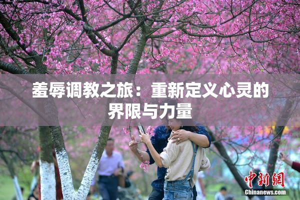 羞辱调教之旅：重新定义心灵的界限与力量