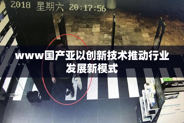 www国产亚以创新技术推动行业发展新模式
