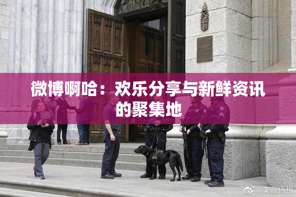 微博啊哈：欢乐分享与新鲜资讯的聚集地