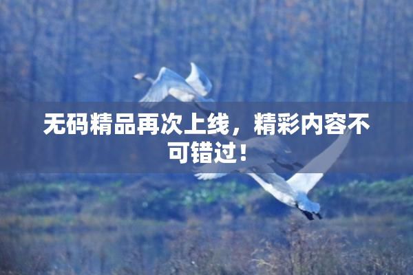 无码精品再次上线，精彩内容不可错过！