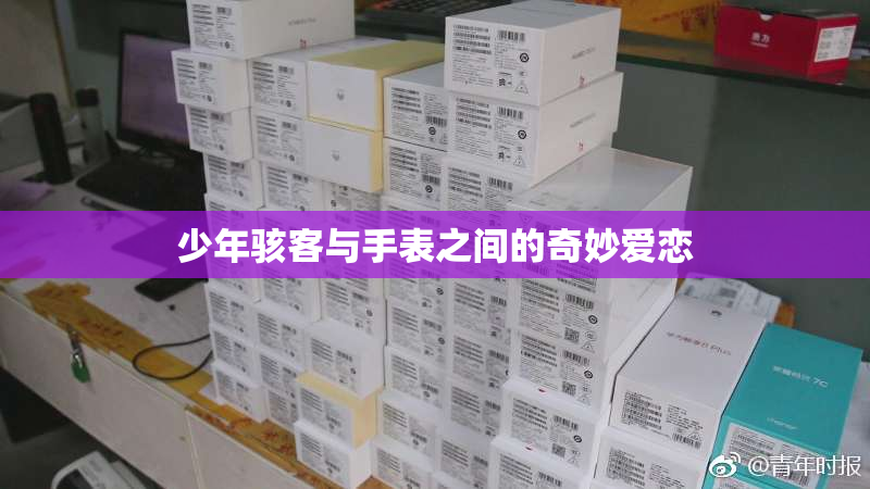 少年骇客与手表之间的奇妙爱恋