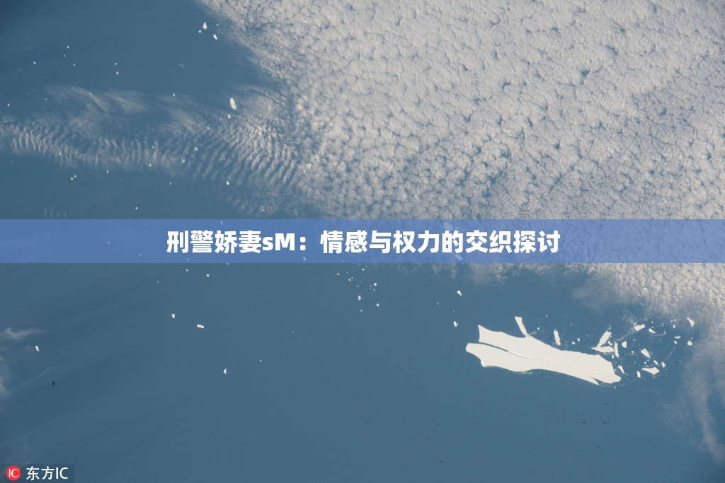 刑警娇妻sM：情感与权力的交织探讨