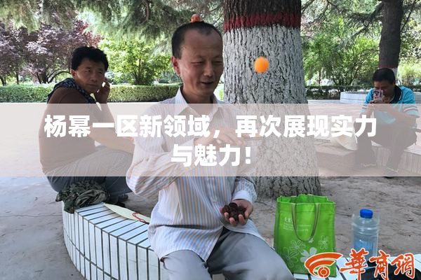杨幂一区新领域，再次展现实力与魅力！