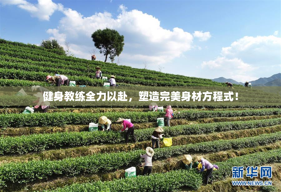 健身教练全力以赴，塑造完美身材方程式！